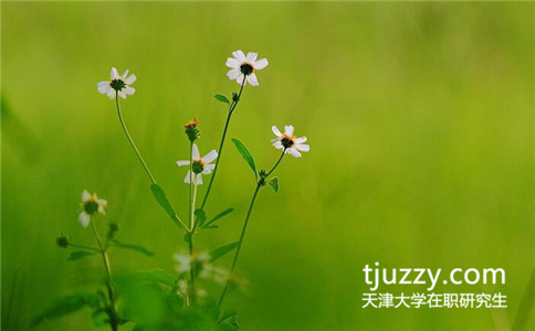 报考天津大学同等学力申硕有用吗